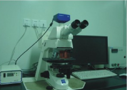 ZEISS高级正置显微镜