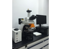 正置荧光显微镜NiU（教学中心）