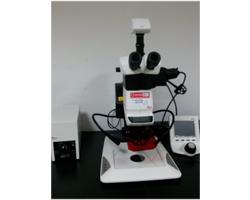 体式荧光显微镜M205FA(教学中心)