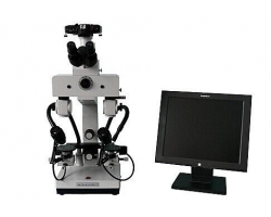 共聚焦显微镜FV1000（胡兵实验室）