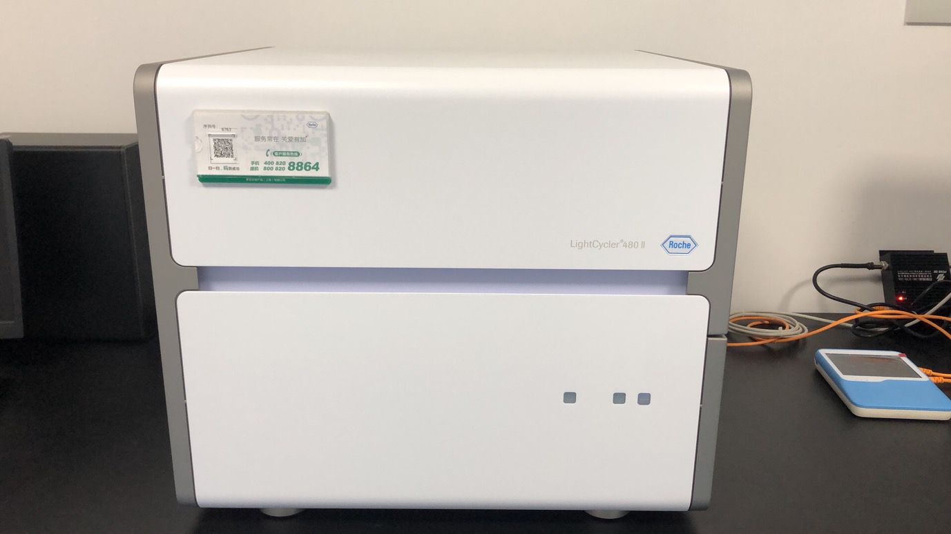 Roche LC480荧光定量PCR仪